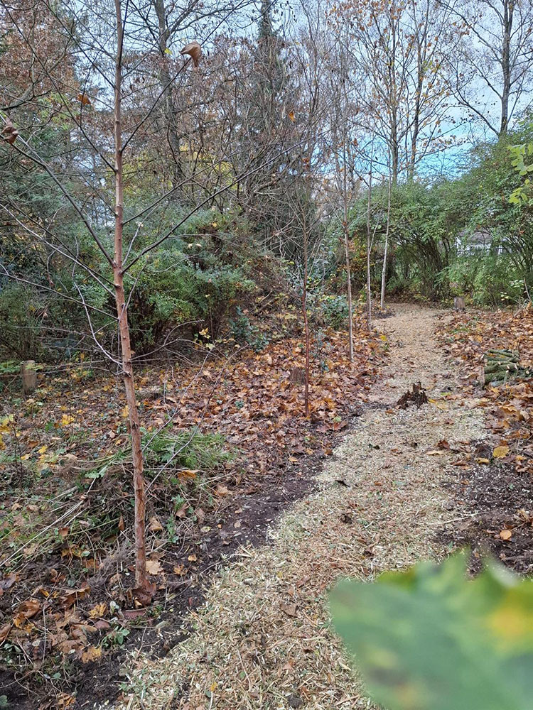 stichtingannettevanramselaar december2025 1